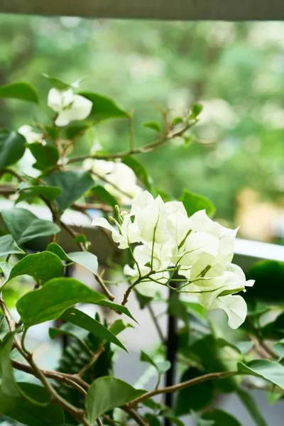 K' homestay near Hoan Kiem lake – 照片 15